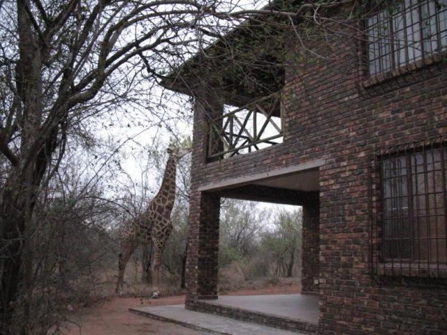 Crowe'S Nest Marloth Park Exterior foto