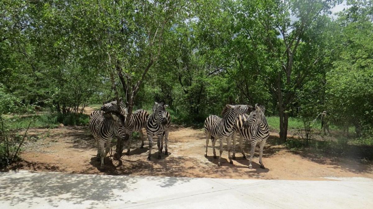 Crowe'S Nest Marloth Park Exterior foto